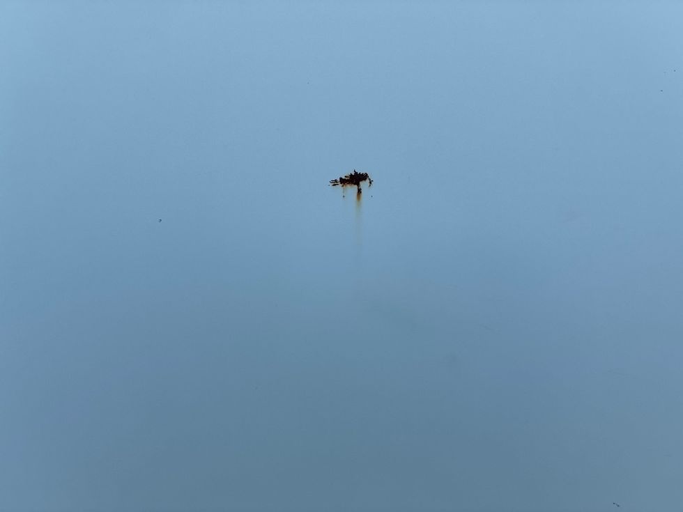 Cab and Chassis Truck-Light and Medium Duty Trucks-Isuzu-2020-NPRXD-Greensboro-NC-146,838\n\t\tmiles-$ 34,250 - Image 22