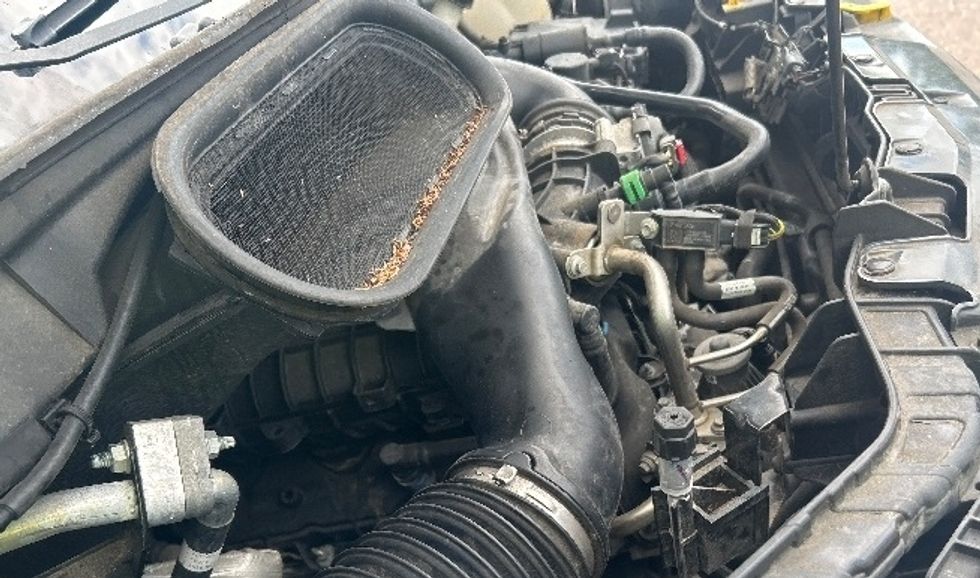 Cargo Van (Panel Van)-Light and Medium Duty Trucks-Ford-2020-Transit 250-Jackson-MS-80,821\n\t\tmiles-$ 32,000 - Image 21