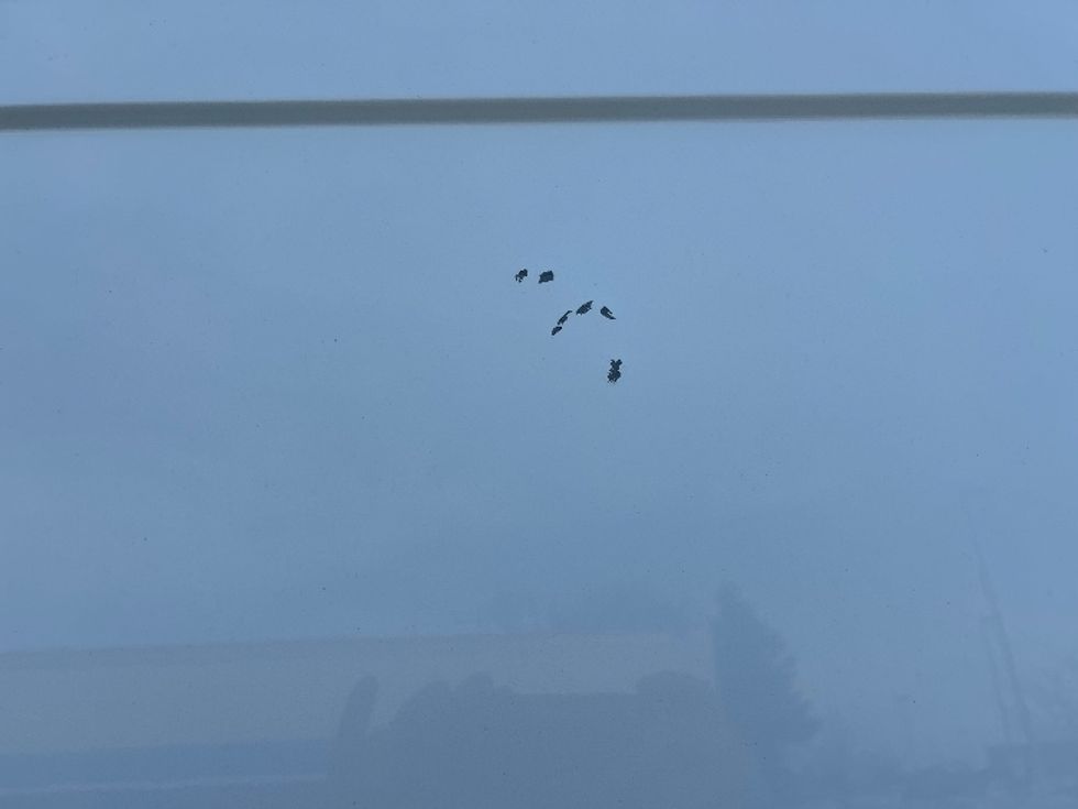 Cargo Van (Panel Van)-Light and Medium Duty Trucks-Ford-2020-Transit 250-Mississauga-ON-130,663\n\t\tkm-$ 42,500 - Image 24