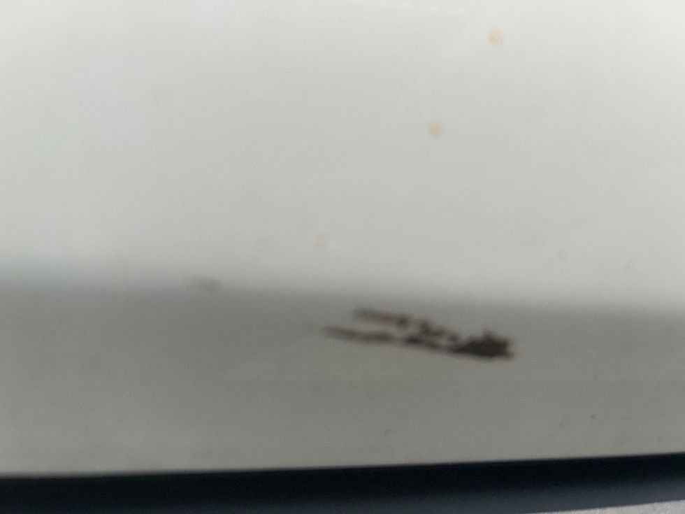 Cargo Van (Panel Van)-Light and Medium Duty Trucks-Ford-2021-Transit 250-Londonderry-NH-92,333\n\t\tmiles-$ 29,500 - Image 26