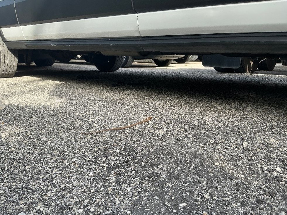 Cargo Van (Panel Van)-Light and Medium Duty Trucks-Ford-2021-Transit 250-Miami-FL-75,794\n\t\tmiles-$ 36,250 - Image 14