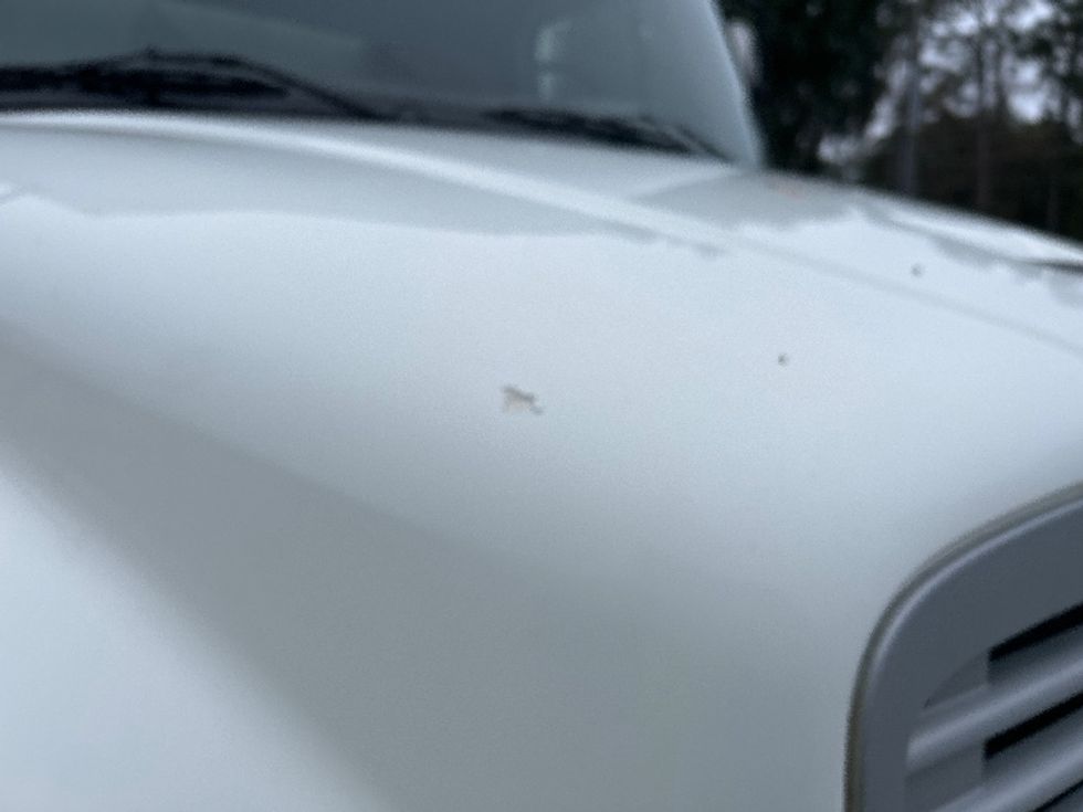 Curtain Side-Light and Medium Duty Trucks-Freightliner-2019-M2-Tallahassee-FL-253,695\n\t\tmiles-$ 34,500 - Image 25