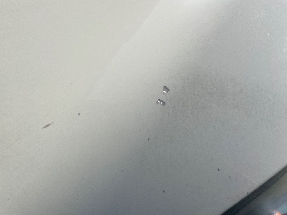 Day Cab Tractor-Heavy Duty Tractors-Freightliner-2019-Cascadia 12564ST-Greenville-SC-537,378\n\t\tmiles-$ 29,000 - Image 20