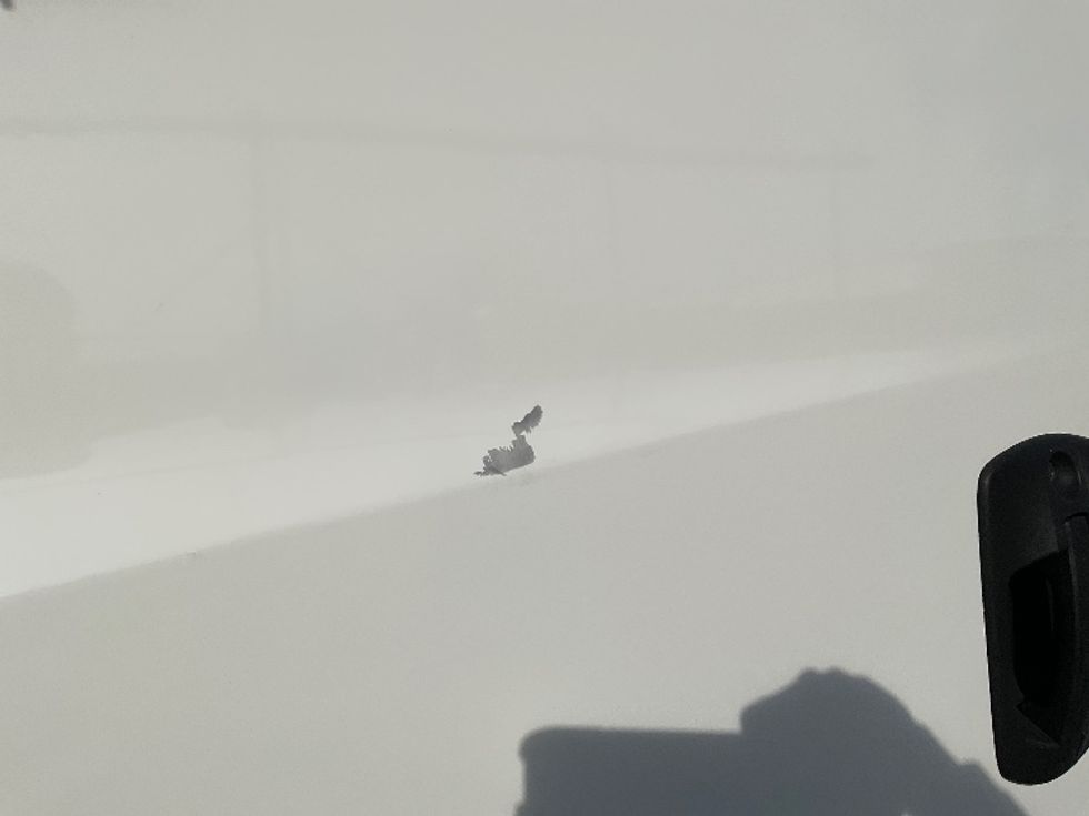 Day Cab Tractor-Heavy Duty Tractors-Freightliner-2019-T12642ST-Buffalo-NY-545,015\n\t\tmiles-$ 31,000 - Image 20