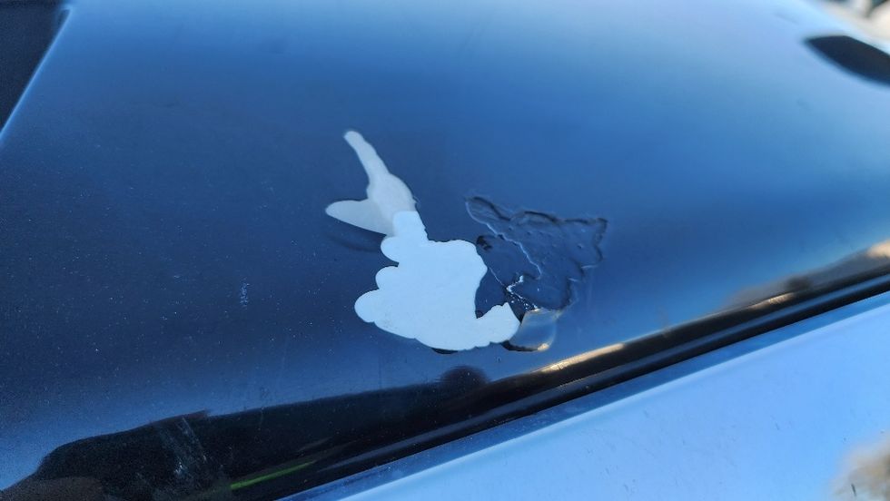 Day Cab Tractor-Heavy Duty Tractors-Freightliner-2019-T12642ST-Ocala-FL-216,219\n\t\tmiles-$ 46,000 - Image 19