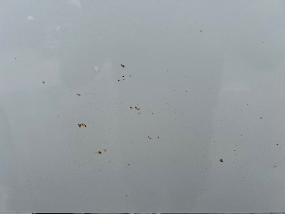 Day Cab Tractor-Heavy Duty Tractors-Freightliner-2019-T12664ST-Blountville-TN-311,283\n\t\tmiles-$ 49,500 - Image 20