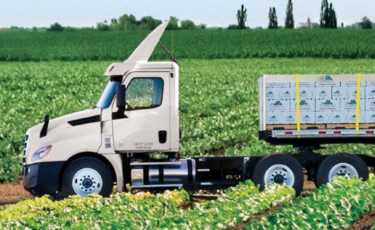daycab tractor with a flatbed trailer in a field
