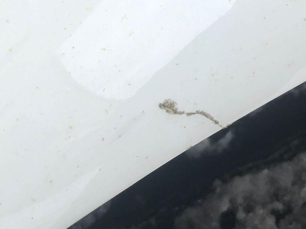 Medium Duty Box Truck-Light and Medium Duty Trucks-Freightliner-2019-M2-Mississauga-ON-184,098\n\t\tkm-$ 63,750 - Image 25