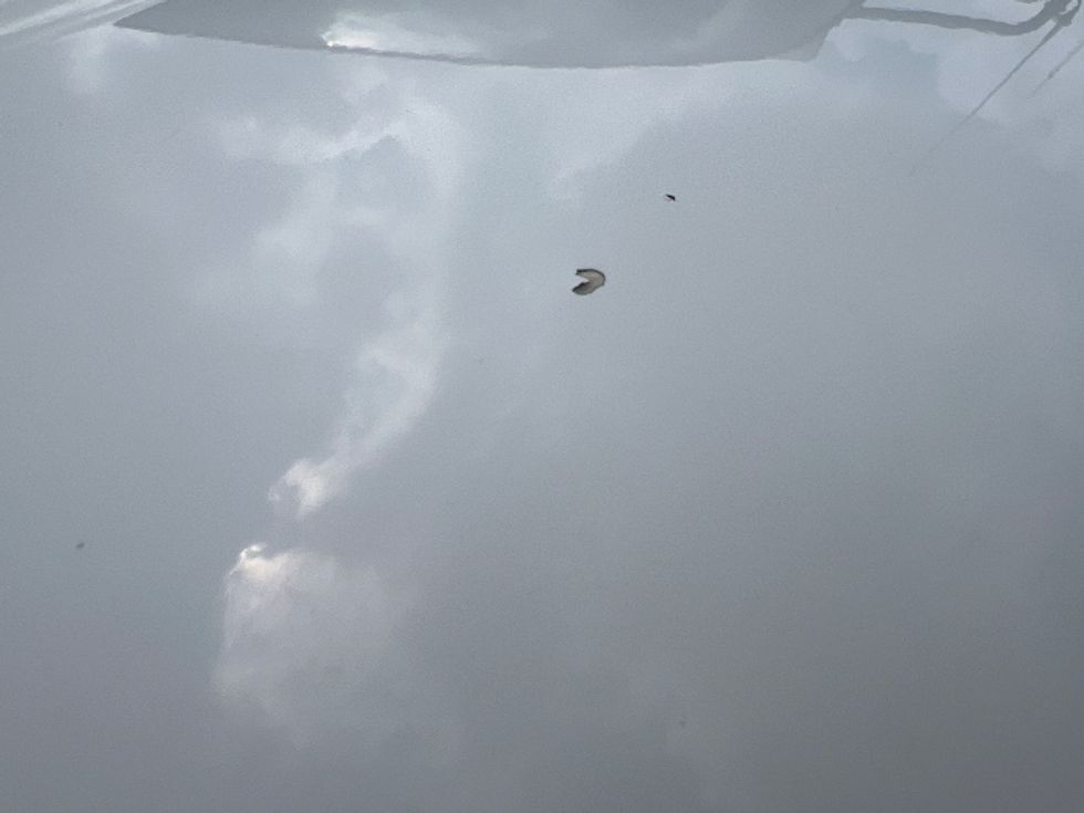 Medium Duty Box Truck-Light and Medium Duty Trucks-Freightliner-2019-M2-Rochester-NY-214,107\n\t\tmiles-$ 29,750 - Image 28