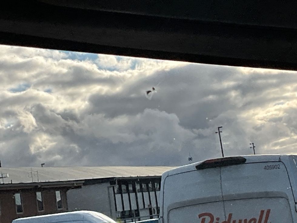 Medium Duty Box Truck-Light and Medium Duty Trucks-International-2021-MV607-Tacoma-WA-188,332\n\t\tmiles-$ 44,000 - Image 27