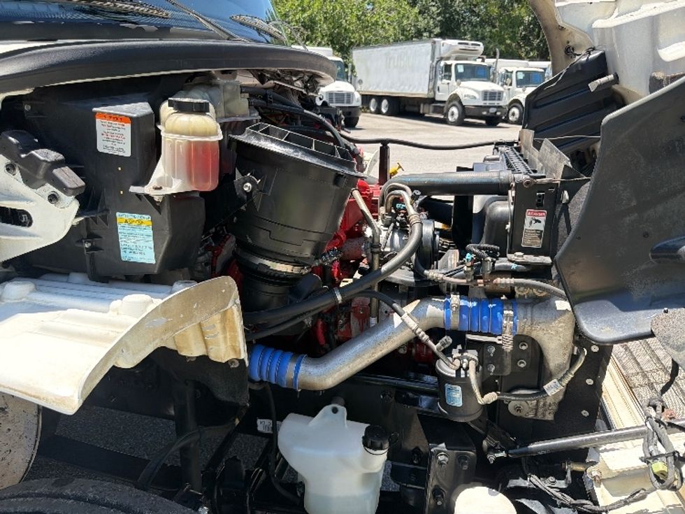 Refrigerated Truck-Light and Medium Duty Trucks-Freightliner-2019-M2-Pensacola-FL-235,329\n\t\tmiles-$ 56,250 - Image 23