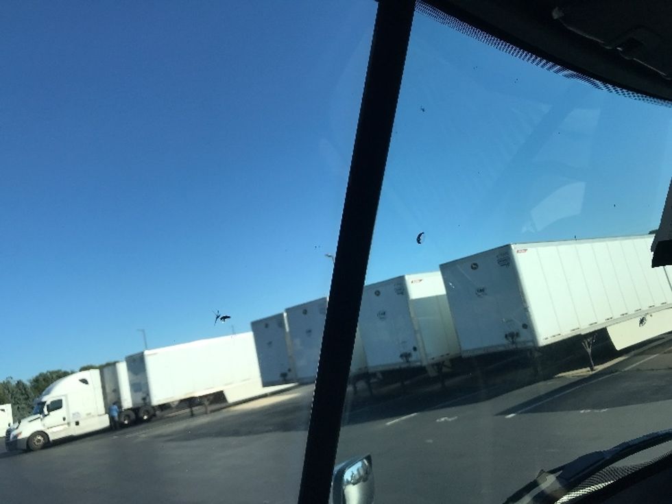 Refrigerated Truck-Light and Medium Duty Trucks-Freightliner-2020-Cascadia X11364S-Lancaster-PA-430,562\n\t\tmiles-$ 82,250 - Image 25