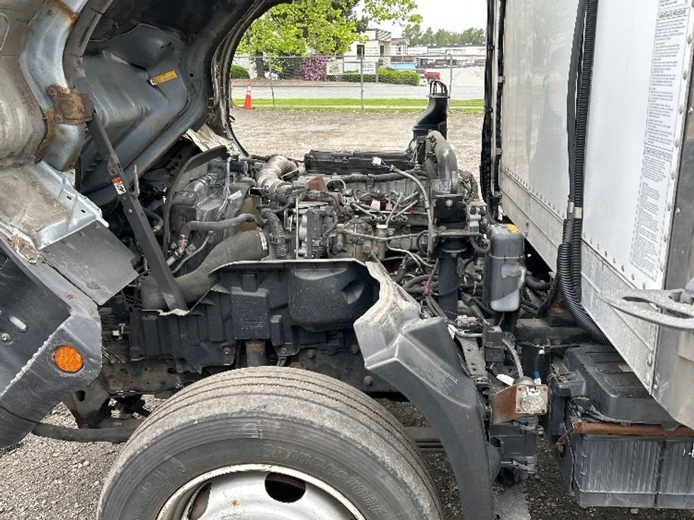 Refrigerated Truck-Light and Medium Duty Trucks-Hino-2019-195-Abbotsford-BC-268,828\n\t\tkm-$ 62,250 - Image 24