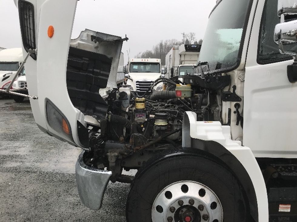 Refrigerated Truck-Light and Medium Duty Trucks-Hino-2020-338-Delta-BC-252,759\n\t\tkm-$ 81,750 - Image 24