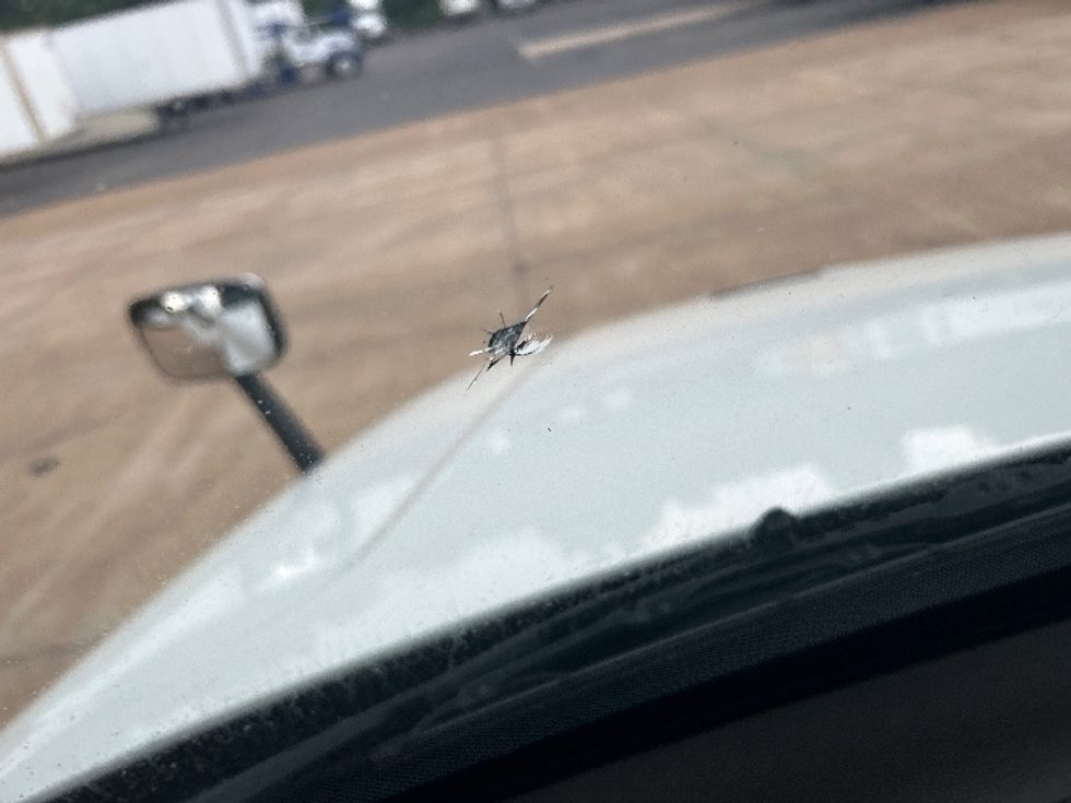 Sleeper Tractor-Heavy Duty Tractors-Freightliner-2019-Cascadia 12564ST-Memphis-TN-539,800\n\t\tmiles-$ 50,750 - Image 23