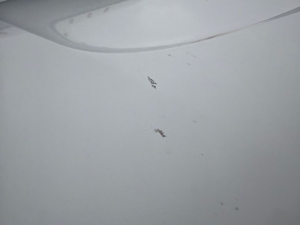 Sleeper Tractor-Heavy Duty Tractors-Freightliner-2020-T12664ST-Morgantown-WV-505,857\n\t\tmiles-$ 59,250 - Image 24