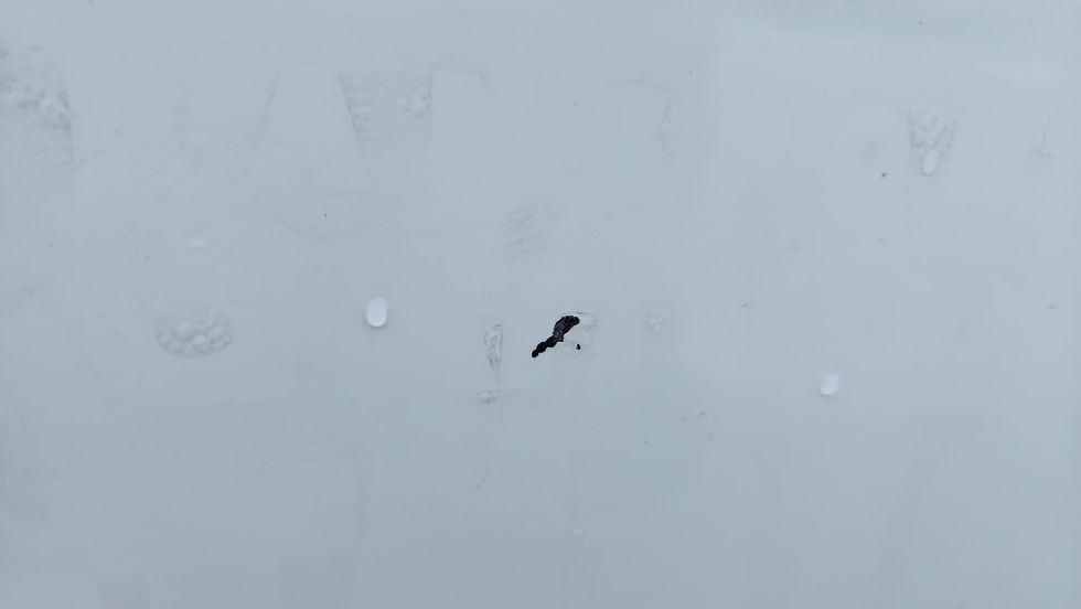 Sleeper Tractor-Heavy Duty Tractors-Freightliner-2020-T12664ST-Ocala-FL-629,801\n\t\tmiles-$ 53,250 - Image 28