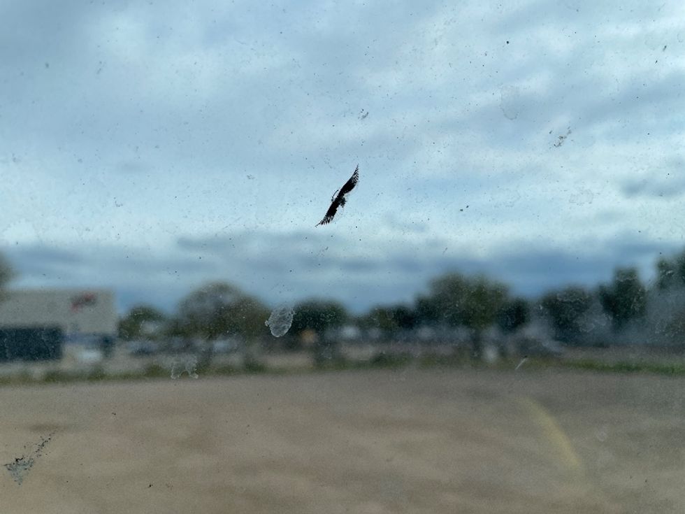 Sleeper Tractor-Heavy Duty Tractors-Freightliner-2020-T12664ST-Phoenix-AZ-440,072\n\t\tmiles-$ 67,000 - Image 22