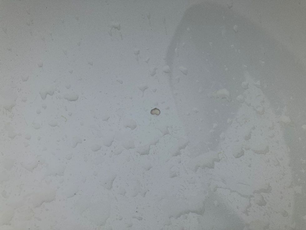 Sleeper Tractor-Heavy Duty Tractors-Freightliner-2021-T12664ST-Greensboro-NC-531,011\n\t\tmiles-$ 64,750 - Image 26