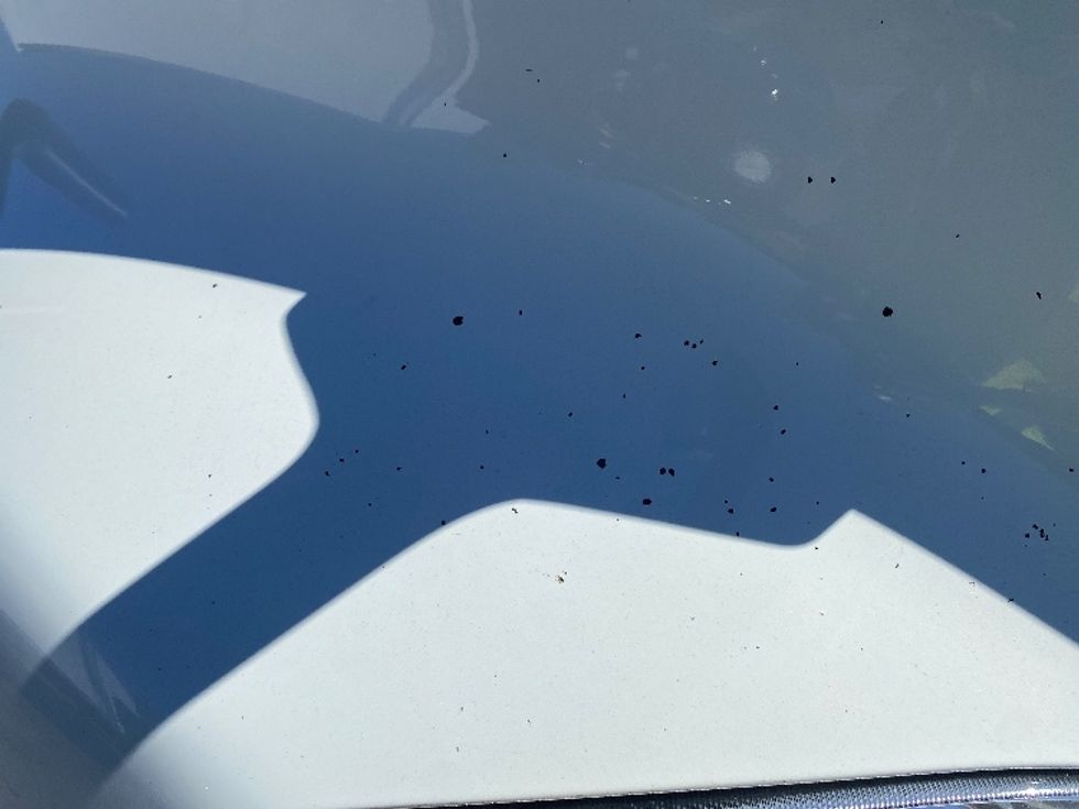 Sleeper Tractor-Heavy Duty Tractors-International-2019-LT625-Greensboro-NC-558,803\n\t\tmiles-$ 41,750 - Image 22