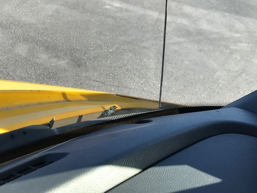 Sleeper Tractor-Heavy Duty Tractors-International-2020-LT625-Harrisonburg-VA-624,039\n\t\tmiles-$ 31,250 - Image 24